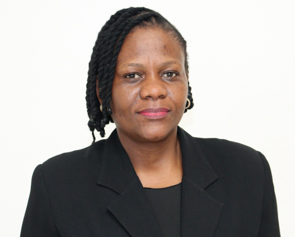 Chefe do Departamento de Comunicação, Imagem e Tecnologias de Informação